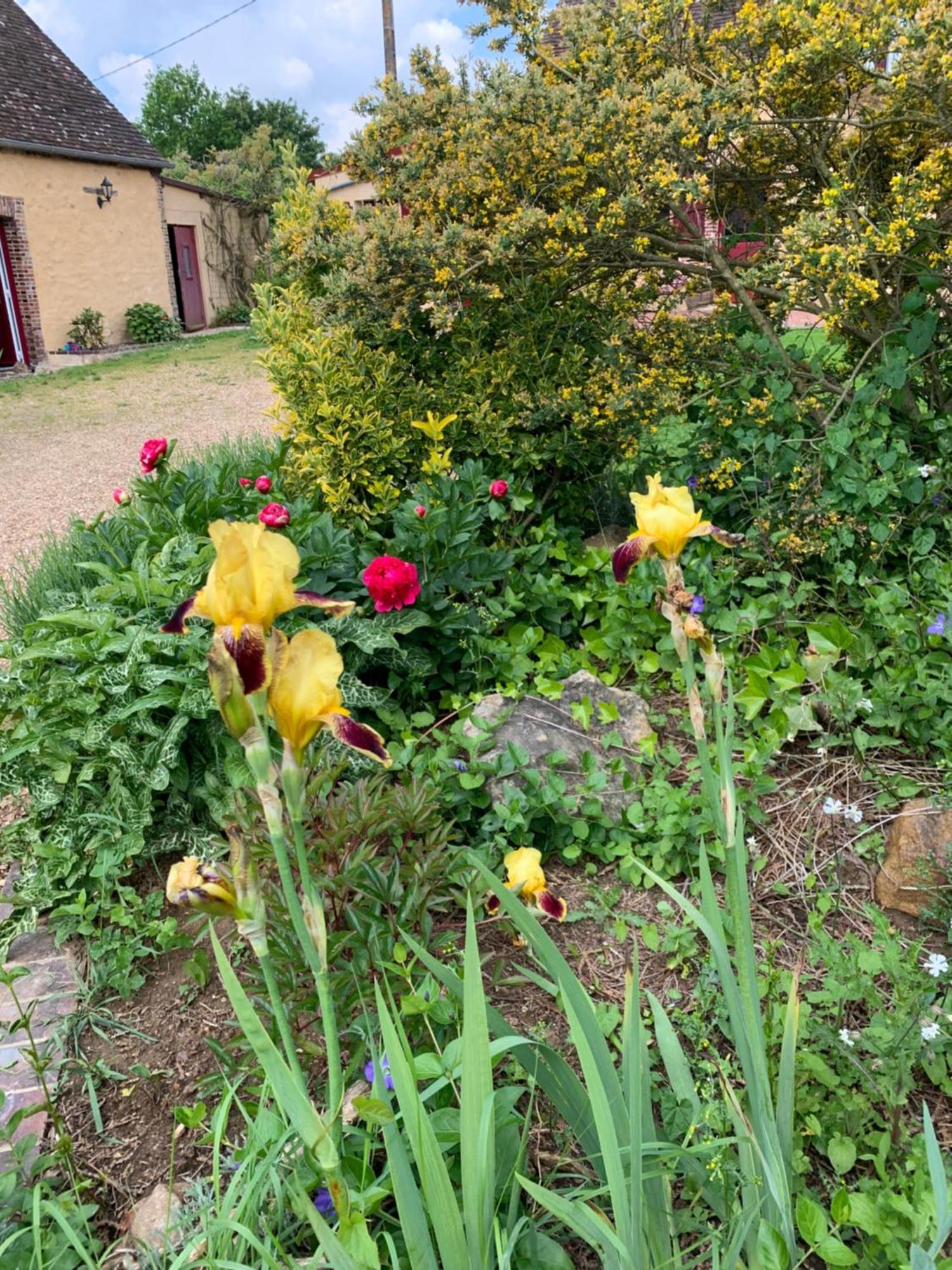 Bed and Breakfast La Glatine Fretigny Exterior foto
